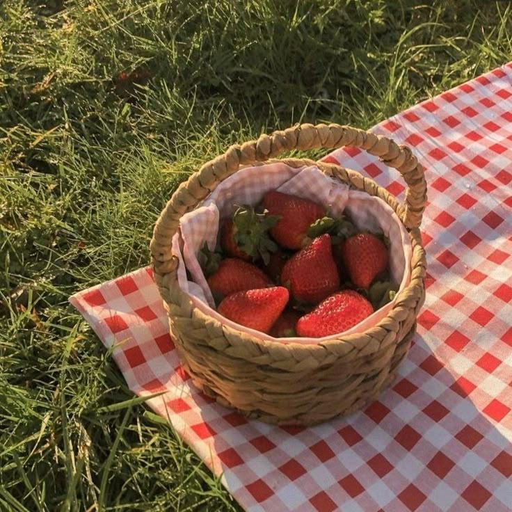 Berry Bounty: Fresh-Picked Nature's Sweets